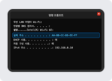 cmd ȭ�鿡�� Physics Address ���� Ȯ���ϴ� ȭ��